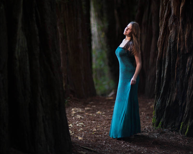 high school senior portrait by huge trees with blue dress